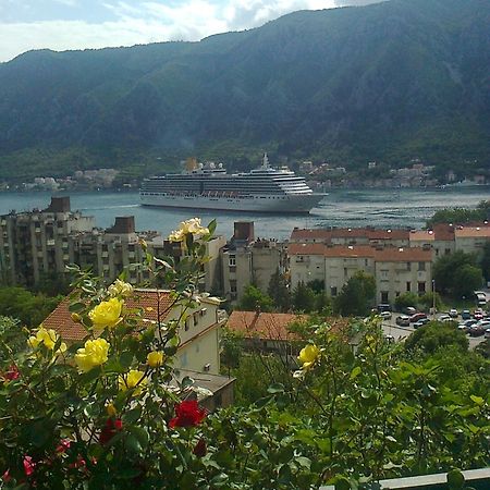 Apartment Aki Kotor Exteriér fotografie