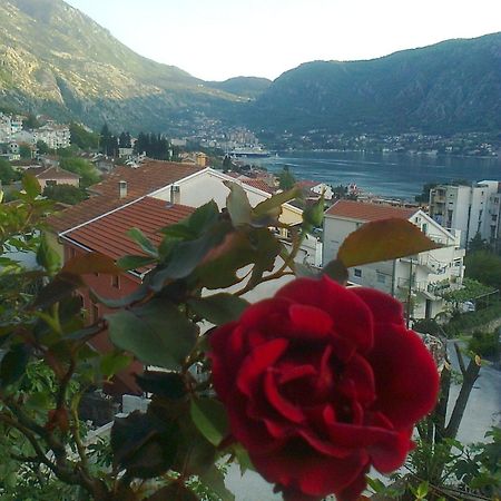 Apartment Aki Kotor Exteriér fotografie