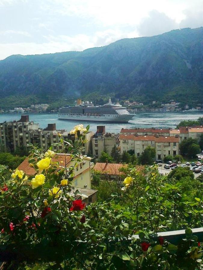 Apartment Aki Kotor Exteriér fotografie