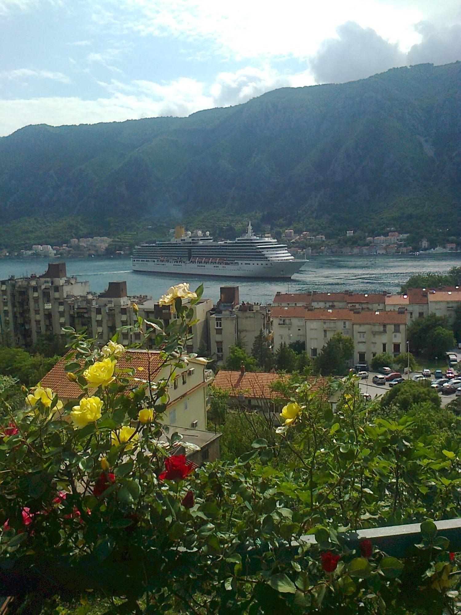 Apartment Aki Kotor Exteriér fotografie