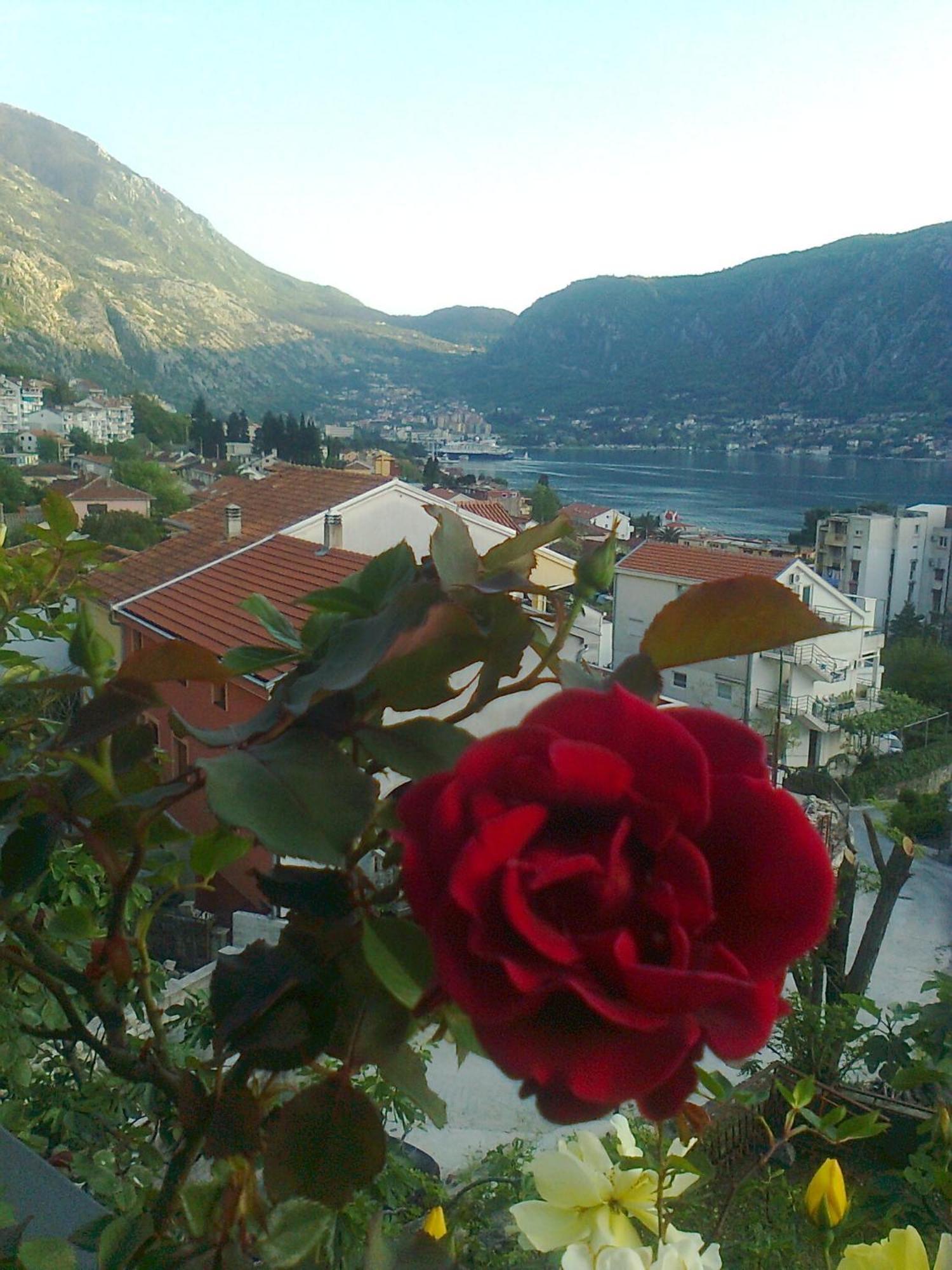 Apartment Aki Kotor Exteriér fotografie